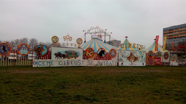 Cirkus King protestuje