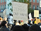 Demonstrace proti Andreji Babišovi na Malinovského náměstí v Brně. Demonstrace proti Andreji Babišovi na Malinovského náměstí v Brně.