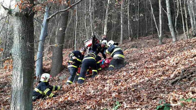 Paraglidistka uvzla u Lipnku nad Bevou v korunch strom ve zhruba patnctimetrov vce. Hasii ji dostali nejprve zpt na zem a pot penesli k sanitce.