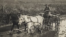Německý voják veze svým kolegům poštu během bojů 1. světové války (1914) Německý voják veze svým kolegům poštu během bojů 1. světové války (1914)