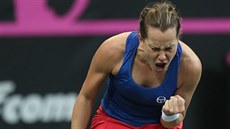 Barbora Strýcová slaví vítězný míč ve finále Fed Cupu. Barbora Strýcová slaví vítězný míč ve finále Fed Cupu.