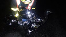 Hasiči a policisté museli odchytit a ošetřit pštrosa, který utekl z farmy na... Hasiči a policisté museli odchytit a ošetřit pštrosa, který utekl z farmy na...