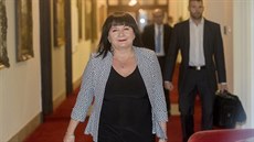 Ministryně financí Alena Schillerová přichází na ranní jednání vlády. (14. 11.... Ministryně financí Alena Schillerová přichází na ranní jednání vlády. (14. 11....