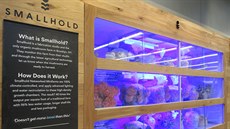 Houby rostou v modře tónovaných mini-farmách, které mohou stát přímo v... Houby rostou v modře tónovaných mini-farmách, které mohou stát přímo v...