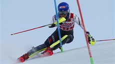 Americká lyžařka Mikaela Shiffrinová na trati slalomu v Levi Americká lyžařka Mikaela Shiffrinová na trati slalomu v Levi