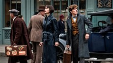 Záběr z filmu Fantastická zvířata: Grindelwaldovy zločiny Záběr z filmu Fantastická zvířata: Grindelwaldovy zločiny