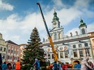 Vánoní strom dorazil v sobotu na eskobudjovické hlavní námstí.