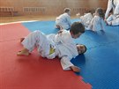 Prvci se v nkterch libereckch kolch u v rmci tlocviku judo.