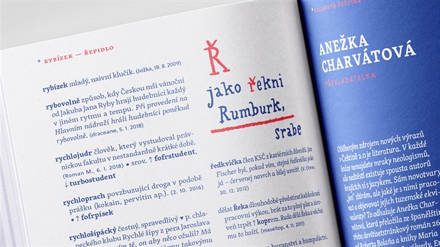 Z knihy Hacknutá čeština Z knihy Hacknutá čeština
