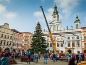 Vánoční strom dorazil v sobotu na českobudějovické hlavní náměstí. Vánoční strom dorazil v sobotu na českobudějovické hlavní náměstí.