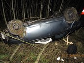Tragická nehoda se stala 20. listopadu na silnici z Horšovského Týna do Březí.... Tragická nehoda se stala 20. listopadu na silnici z Horšovského Týna do Březí....