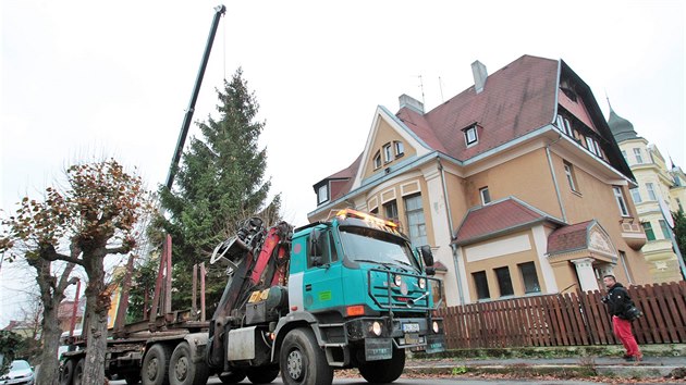 Smrk ztepil pro karlovarsk vnon trhy pokceli pracovnci Sprvy lzeskch park ve Vrchlickho ulici, kde rostl 35 let. Nsledn ho pevezli na tradin msto u vstupu do Smetanovch sad.