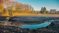 Z vypuštěného Hradčanského rybníka v Ralsku zmizí v následujícím roce dvacet... Z vypuštěného Hradčanského rybníka v Ralsku zmizí v následujícím roce dvacet...
