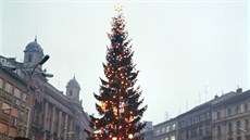 Vánoní strom v centru Brna (9. prosince 1970)