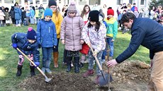 Valašské Meziříčí má lidickou hrušeň. V republice jich je zatím 27. Valašské Meziříčí má lidickou hrušeň. V republice jich je zatím 27.