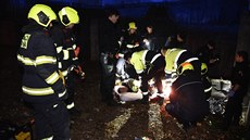 Ve Vršovicích spadl muž z výšky na železný drát a propíchl si nohu. Ve Vršovicích spadl muž z výšky na železný drát a propíchl si nohu.
