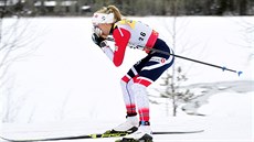 Norská běžkyně na lyžích Therese Johaugová na trati klasické desítky v Ruce Norská běžkyně na lyžích Therese Johaugová na trati klasické desítky v Ruce