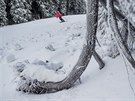 Na ern hoe v Krkonoch zahjili lyaskou sezonu (30. 11. 2018).