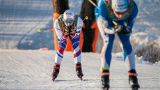 Běžec na lyžích Adam Fellner Běžec na lyžích Adam Fellner