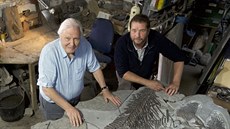 Z pořadu David Attenborough a mořský drak Z pořadu David Attenborough a mořský drak