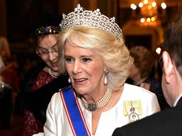 Vévodkyn z Cornwallu Camilla na recepci pro diplomaty v Buckinghamském paláci...