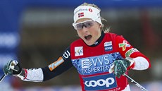 Norská běžkyně na lyžích Therese Johaugová na trati volné desítky v... Norská běžkyně na lyžích Therese Johaugová na trati volné desítky v...