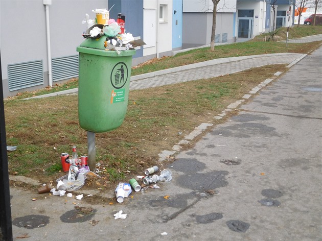 Před většinou obchodních domů jsou umístěny malé odpadkové koše u stanic veřejné dopravy. Zde se jedná o protější Kaufland.