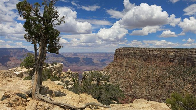 Jednou za rok vyjíždím do USA, kde strávíme jednu až dvě noci u Grand Canyonu.... Jednou za rok vyjíždím do USA, kde strávíme jednu až dvě noci u Grand Canyonu....