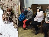 Soud potrestal aktivisty, kteří odvezli ze statku Vondruškových v Jankově na... Soud potrestal aktivisty, kteří odvezli ze statku Vondruškových v Jankově na...