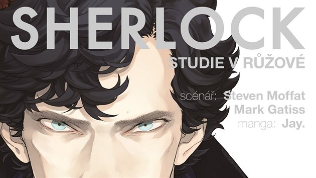 Oblka knihy Sherlock: Studie v rov