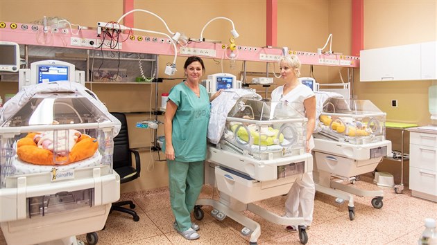 Pohled na ti z celkem tincti novch inkubtor, kter si podilo novorozeneckm oddlen olomouck fakultn nemocnice.