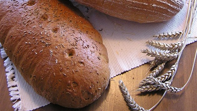 Ocenn kolekce chleb za rok 2018