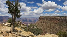 Jednou za rok vyjíždím do USA, kde strávíme jednu až dvě noci u Grand Canyonu.... Jednou za rok vyjíždím do USA, kde strávíme jednu až dvě noci u Grand Canyonu....