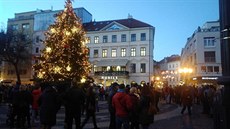 Vánoční trhy na Hviezdoslavově náměstí v Bratislavě Vánoční trhy na Hviezdoslavově náměstí v Bratislavě