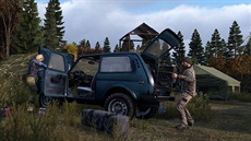 DayZ DayZ