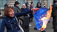 Demonstranti, kteí podporují brexit a naopak li spolen do ulic Londýna