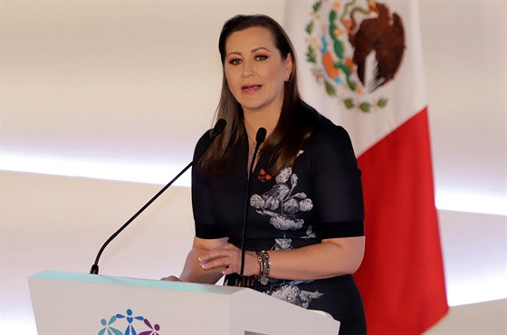 Guvernérka mexického státu Puebla Martha Erika Alonsová pi projevu bhem...
