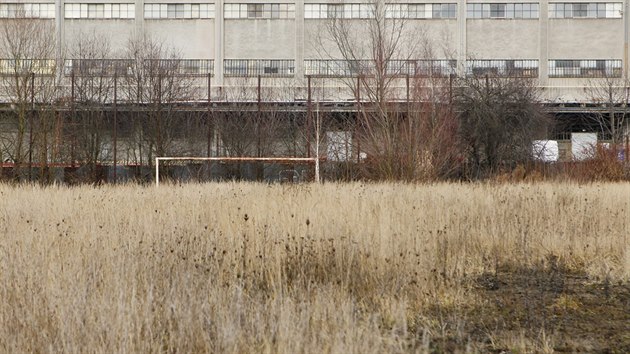 Bval kvrov hit v Suchm Vrbnm v eskch Budjovicch (prosinec 2018). Ragbist se ho chystaj zrekonstruovat.