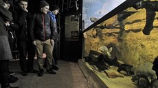 Zoologická zahrada Ostrava nabízí stále více možností poznávání exotických... Zoologická zahrada Ostrava nabízí stále více možností poznávání exotických...