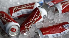 Americký Budweiser Americký Budweiser