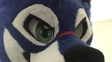 Dominique "SonicFox" McLean Dominique "SonicFox" McLean