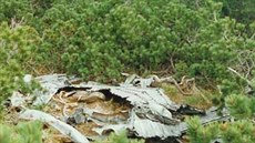 Zbytky vraku letounu v lesním porostu (17. května 1997)