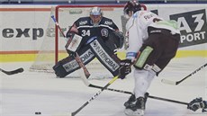 Plzeňský brankář Dominik Frodl se soustředí na pokus sparťanského střelce. Plzeňský brankář Dominik Frodl se soustředí na pokus sparťanského střelce.