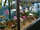 Novoroční výlet do botanické zahrady v Liberci. Novoroční výlet do botanické zahrady v Liberci.