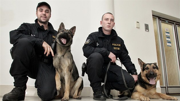 Policejní služební psi z vrhu, pro který vybírala jména veřejnost. Na snímku... Policejní služební psi z vrhu, pro který vybírala jména veřejnost. Na snímku...