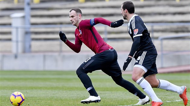 Nová sparťanská posila David Lischka (vlevo) a David Ledecký z Českých... Nová sparťanská posila David Lischka (vlevo) a David Ledecký z Českých...
