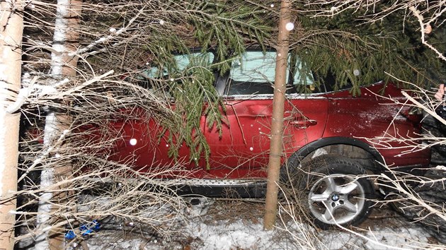 Aby mohli hasii auto vythnout, museli stromy a dal porost pokcet motorovmi pilami. (2. ledna 2019)