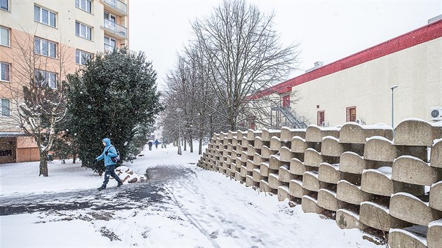 Trutnovsk Kaufland ek pestavba. Mstn se brn, aby se obchod posunul bl k domm a padly vzrostl stromy. (8. ledna 2019)