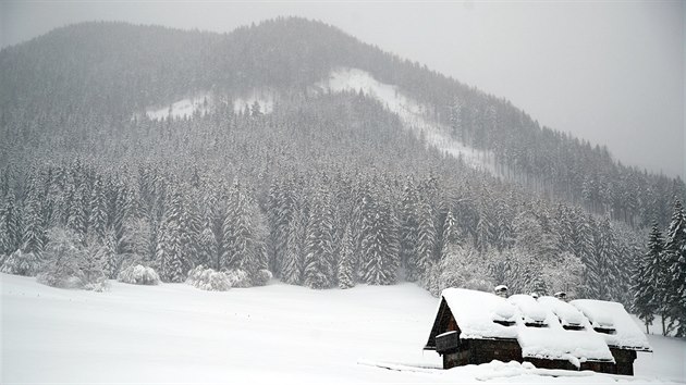 Zimn poas v Rakousku (9. ledna 2019)