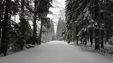 Průjezd Šumavou 5.1.2019 Průjezd Šumavou 5.1.2019